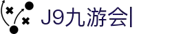 九游会·J9「集团」官网